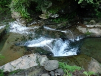 BARKABOOM STREAM falls on DELAWARE COUNTY CENTRAL NEW YORK 8-10-2014_00008.JPG