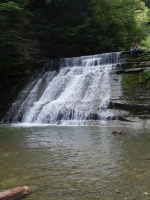 STONEY BROOK MIDDLE SECTION STEUBEN WESTERN NY 8-11-2013_00006.JPG