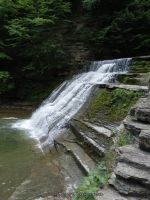 STONEY BROOK MIDDLE SECTION STEUBEN WESTERN NY 8-11-2013_00012.JPG