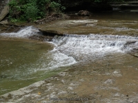 STONEY BROOK UPPER SECTION STEUBEN WESTERN NY 8-11-2013_00007.JPG