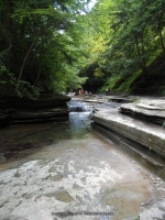 STONEY BROOK UPPER SECTION STEUBEN WESTERN NY 8-11-2013_00009.JPG