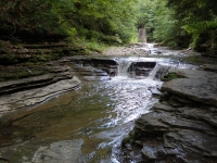 STONEY BROOK UPPER SECTION STEUBEN WESTERN NY 8-11-2013_00014.JPG