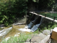 STONEY BROOK LOWER SECTION STEUBEN WESTERN NY 8-11-2013_00002.JPG