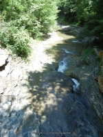 STONEY BROOK LOWER SECTION STEUBEN WESTERN NY 8-11-2013_00056.JPG