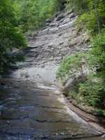 STONEY BROOK LOWER SECTION STEUBEN WESTERN NY 8-11-2013_00064.JPG