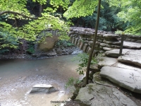 STONEY BROOK LOWER SECTION STEUBEN WESTERN NY 8-11-2013_00066.JPG