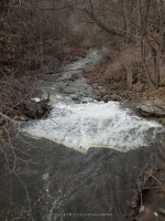 Jeddo Creek Falls Orleans County Western New York 4-12-2014_00002.JPG
