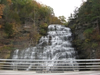 HECTOR SCHUYLER CENTRAL NEW YORK 10-19-2010_00003.JPG