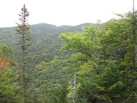 IMG_0165.JPG