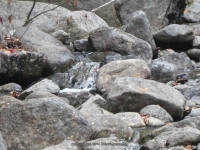 2 henderson monument_00005.JPG