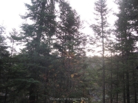 4-lean to to the dam_00001.JPG