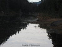 4-lean to to the dam_00006.JPG