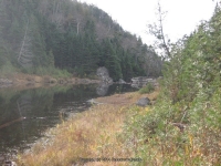 4-lean to to the dam_00014.JPG