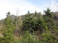 5-from dam to livingston lean to_00002.JPG