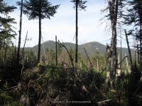 5-from dam to livingston lean to_00008.JPG