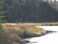 6 livingston lean back to dam_00009.JPG