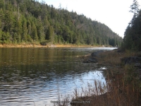 7-dam back to lean to_00003.JPG