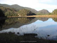 7-dam back to lean to_00012.JPG