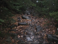 8 lean to to the state boundry_00006.JPG