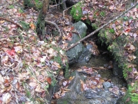 8 lean to to the state boundry_00012.JPG