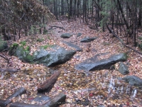 8 lean to to the state boundry_00014.JPG