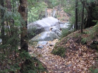 8 lean to to the state boundry_00018.JPG
