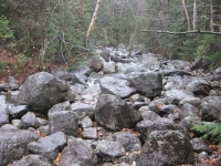 8 lean to to the state boundry_00019.JPG