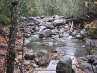9-second bridge to first bridge_00001.JPG