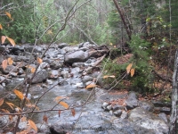 9-second bridge to first bridge_00009.JPG