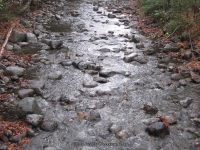 9-second bridge to first bridge_00017.JPG