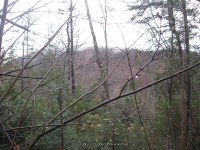 9-second bridge to first bridge_00022.JPG