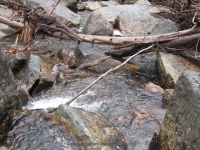10 first bridge to trailhead_00017.JPG