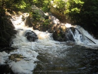 BEARS DEN FALLS FRANKLIN MA 8-01-2009_00013.JPG