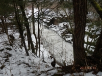 FALLS ON NORTH GAGE ROAD HERKIMER COUNTY CENTRAL NEW YORK 1-13-2013_00015.JPG
