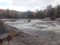 Double Drop IV Rapids Moose 10-17-2015_00021.JPG