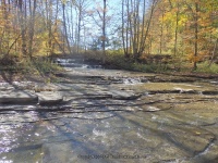 Gulf Creek Falls on 274C 10-11-2015_00010.JPG