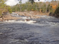 Powerline III Rapids Moose 10-17-2015_00003.JPG