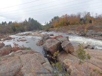 Powerline III Rapids Moose 10-18-2015_00007.JPG