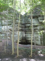 Starved Rock SP 3 Illinois Canyon_00003.JPG