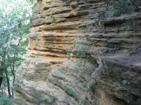 Starved Rock SP 3 Kickapoo Canyon_00002.JPG