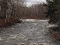 Fish Creek Town Rapids 3-11-2016_00004.JPG