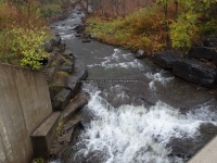 FOX CREEK falls on LORRAINE 10-25-2014_00001.JPG