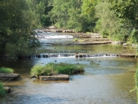 HONEOYE CREEK LEDGES LIVINGSTON COUNTY WESTERN NEW YORK 8-12-2013_00007.JPG
